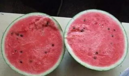 3月29日今日吃瓜,今日吃瓜大揭秘，热点事件一网打尽