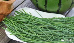 热门大瓜今日吃瓜网红,网红圈风云再起，揭秘吃瓜网红背后的故事