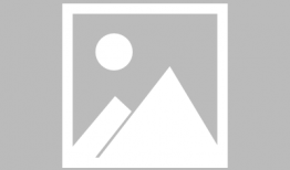 今日吃瓜刘大锤微博